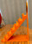 Orange & Black Like The Case Pumpkin Boxes Knife Display For  With Case Logo