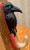 3D Printed  Crow For Hanging Things
