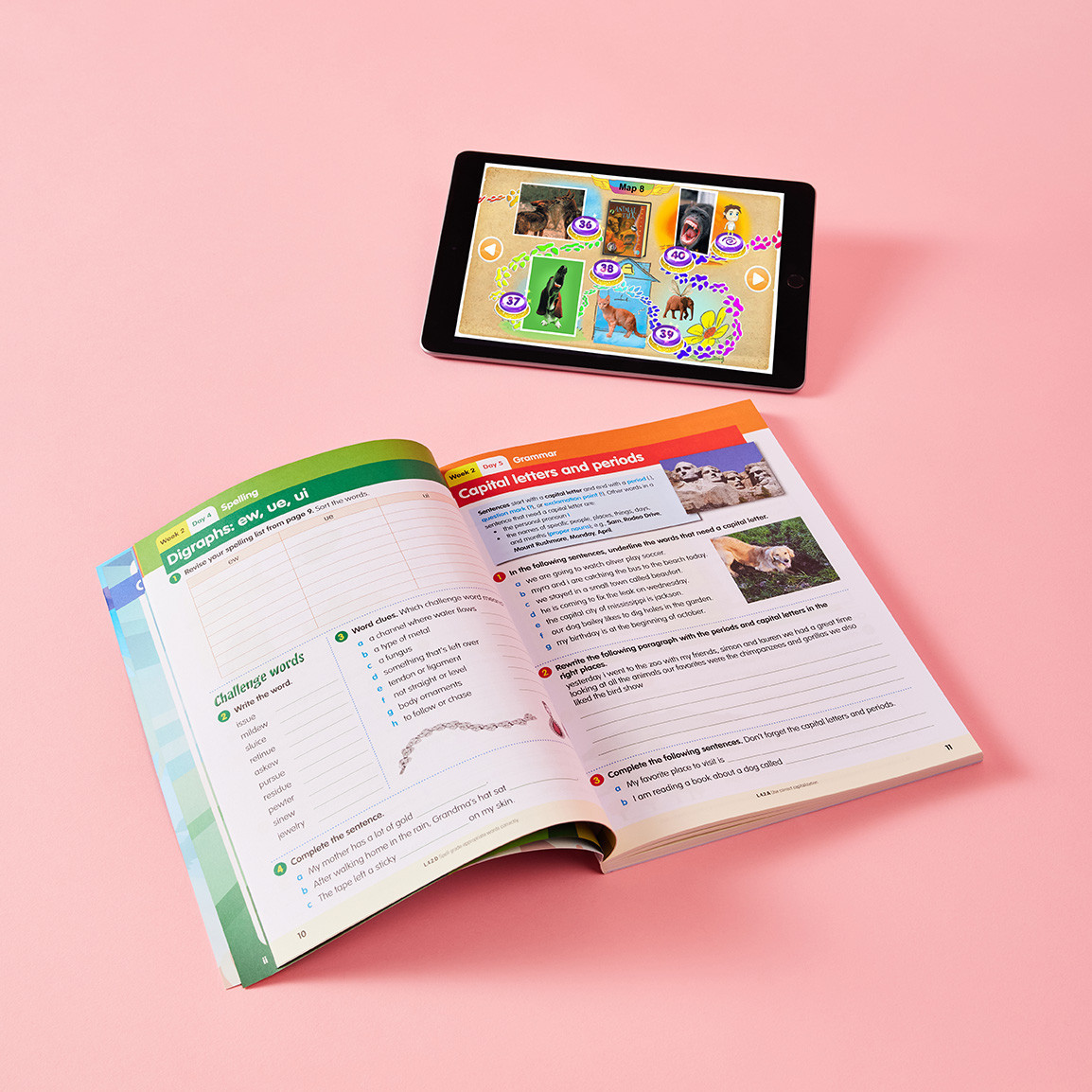 Essential Skills Reading Family Bundle Grade 4 & Grade 5 | Reading Eggs ...