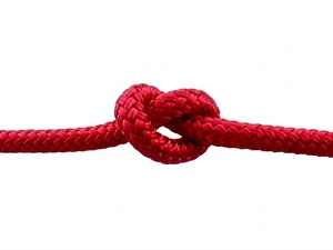 Overstock CBKnot™ Double Braid Polyester Rope 1/4" x 19' Red Hank