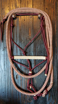 Feature Friday // ANH Rope Halters Feature Friday // ANH Rope Halters
