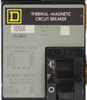 Square D FAL26100 Breaker 100A 600V 2P 14kA Thermal Magnetic