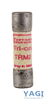 Ferraz Shawmut TRM2 Fuse 2A 250V 10kA Midget Class Tri-onic Time-Delay