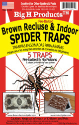 Big H Products - Brown Recluse & Indoor Spider Traps - Case of 24 Packages