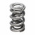 Manley 1.500 NexTek Dual Valve Springs 221420-16