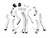 AWE Cat-Back Track 3020-33124