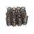 Comp Cams GM LS1/LS6 Valve Spring Set 26915-16