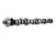 Ford 5.0L Roller Camshaft  M-6250-F303
