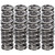 Manley Chevy LS Spring Kit 1.295 w/Ti-Retainers 26362334KS