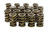 Shop forIsky Cams 1.534 Valve Springs 9905 at Revtec Auto Parts by Isky Cams for as low as 530.61