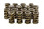Shop forIsky Cams 1.560 Valve Springs 9915 at Revtec Auto Parts by Isky Cams for as low as 515.66
