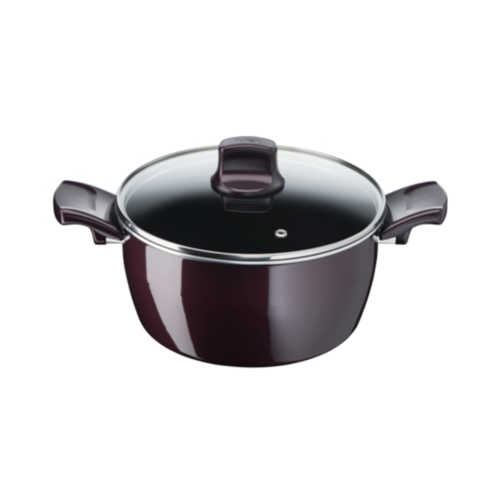 Tefal Tefal Resist Intense 22 cm Stewpot | D5224582 - Home & Kitchen - Lebanon