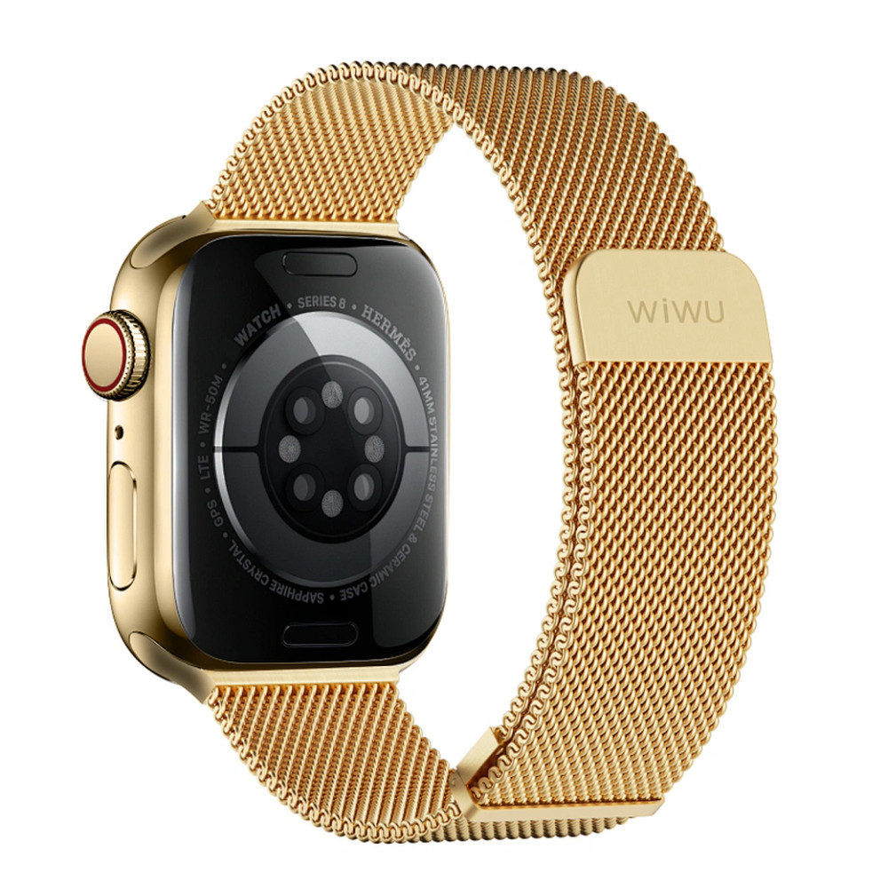 WIWU WIWU 42/44/45/49mm Braid Magnetic Watch Band Wi-WB005 Gold | WB005-GLD - Phones & Wearables - Lebanon