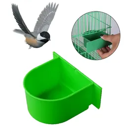 Plastic Feeder for Parrots Cage - Green - Sports & Outdoors - Lebanon
