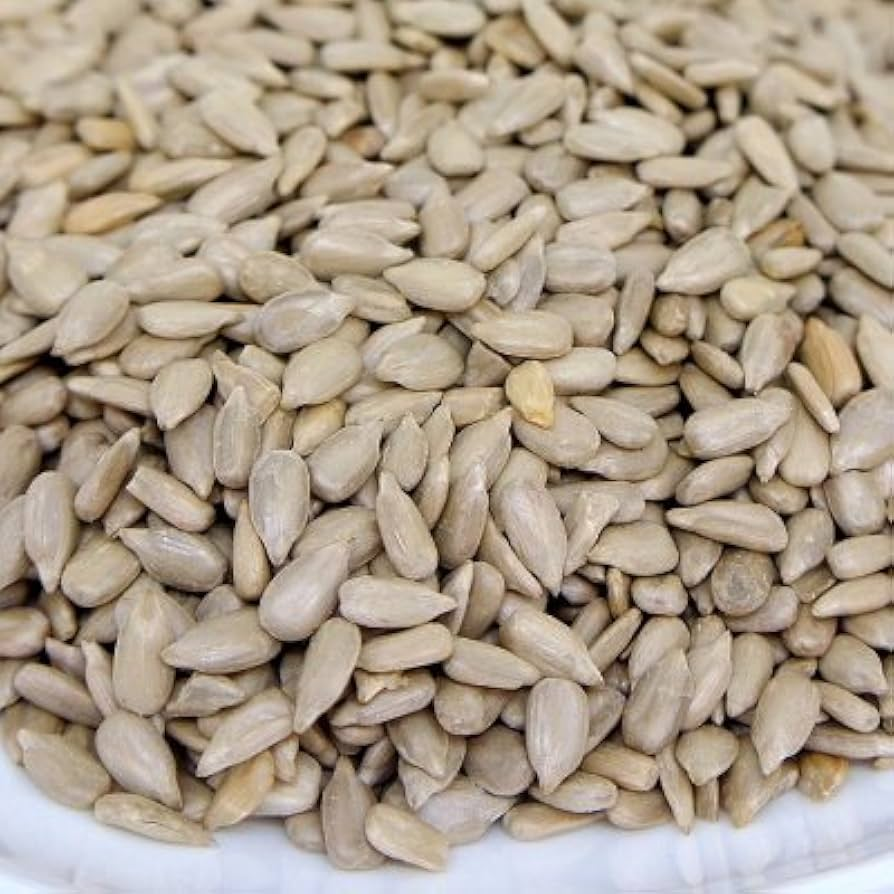 Peeled Sunflower Seeds for Birds - 1KG - Sports & Outdoors - Lebanon