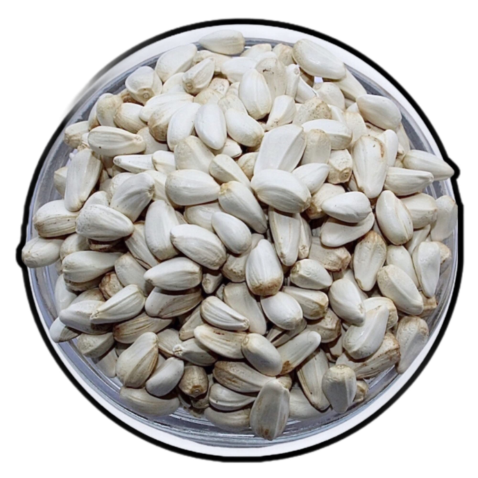 Osfor Seeds for Birds – Natural Bird Food - Sports & Outdoors - Lebanon
