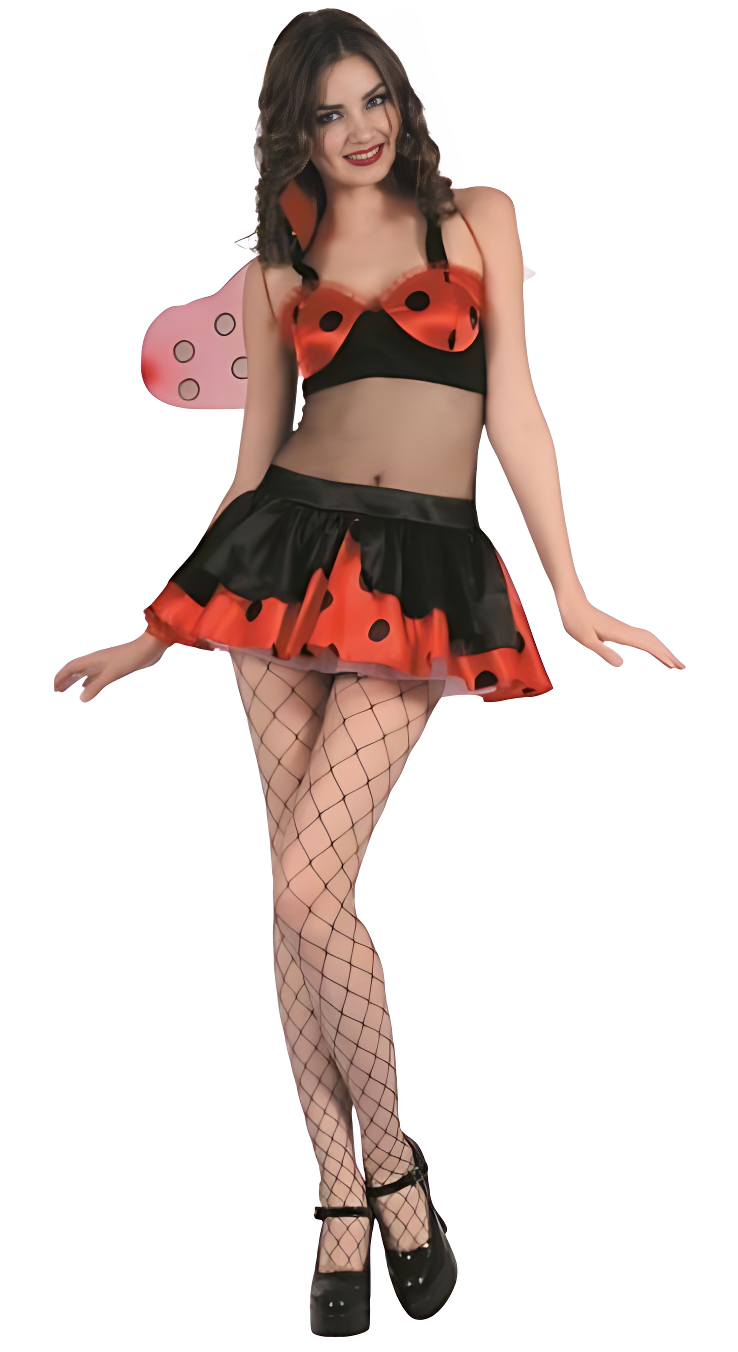 Ladybug Costume (Dress & Wings) | 093081 - Toys & Games - Lebanon