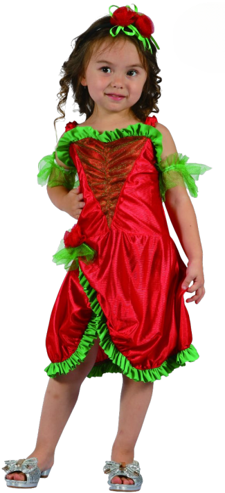 Elf Costume (Dress, Armband, Headband) - TODDLER (92-104CM) | 92256 - Toys & Games - Lebanon