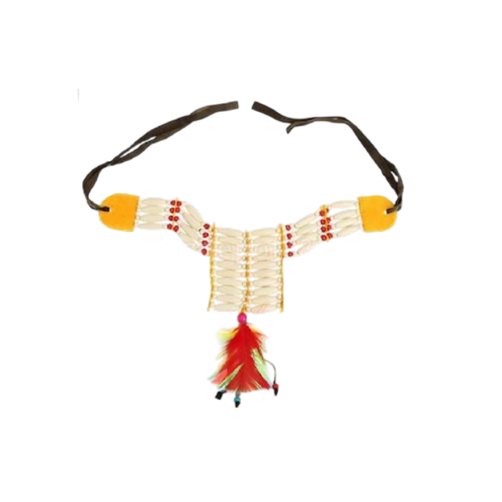 Halloween Tribal Beaded Necklace with Feathers | ALPJ9140 - Home & Kitchen - Lebanon