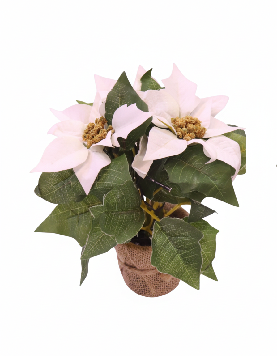  Decorative Artificial White Poinsettia Plant with Pot | MXF-L-001 - Home & Kitchen - Lebanon