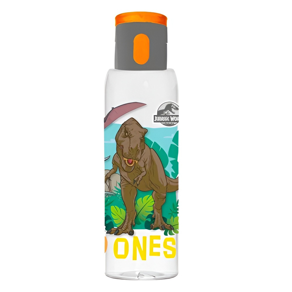 Dinosaur Kids Water Bottle with Flip Straw Lid & Carry Strap – Wild Dinosaurs | 161418-270A - Home & Kitchen - Lebanon