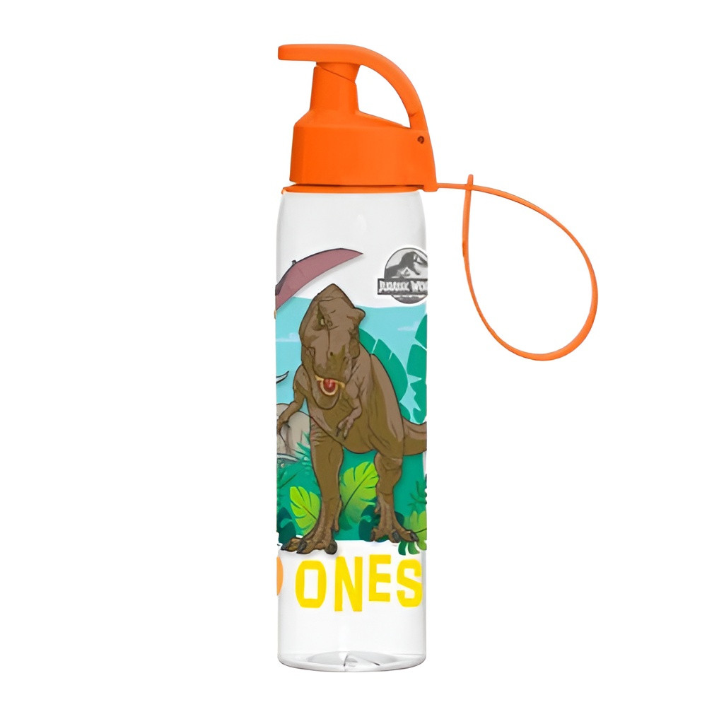 Dinosaur Kids Water Bottle with Flip Straw Lid & Carry Strap – T-Rex Design | 161414-270A - Home & Kitchen - Lebanon