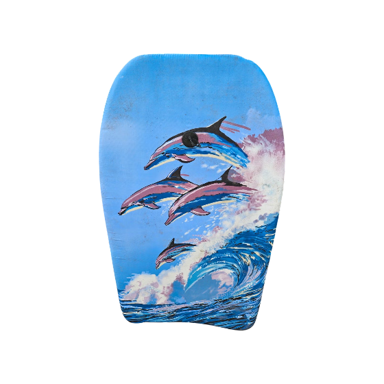 Mini Kickboard Swimming Training Board - Dolphin Design | 583-30 - Sports & Outdoors - Lebanon