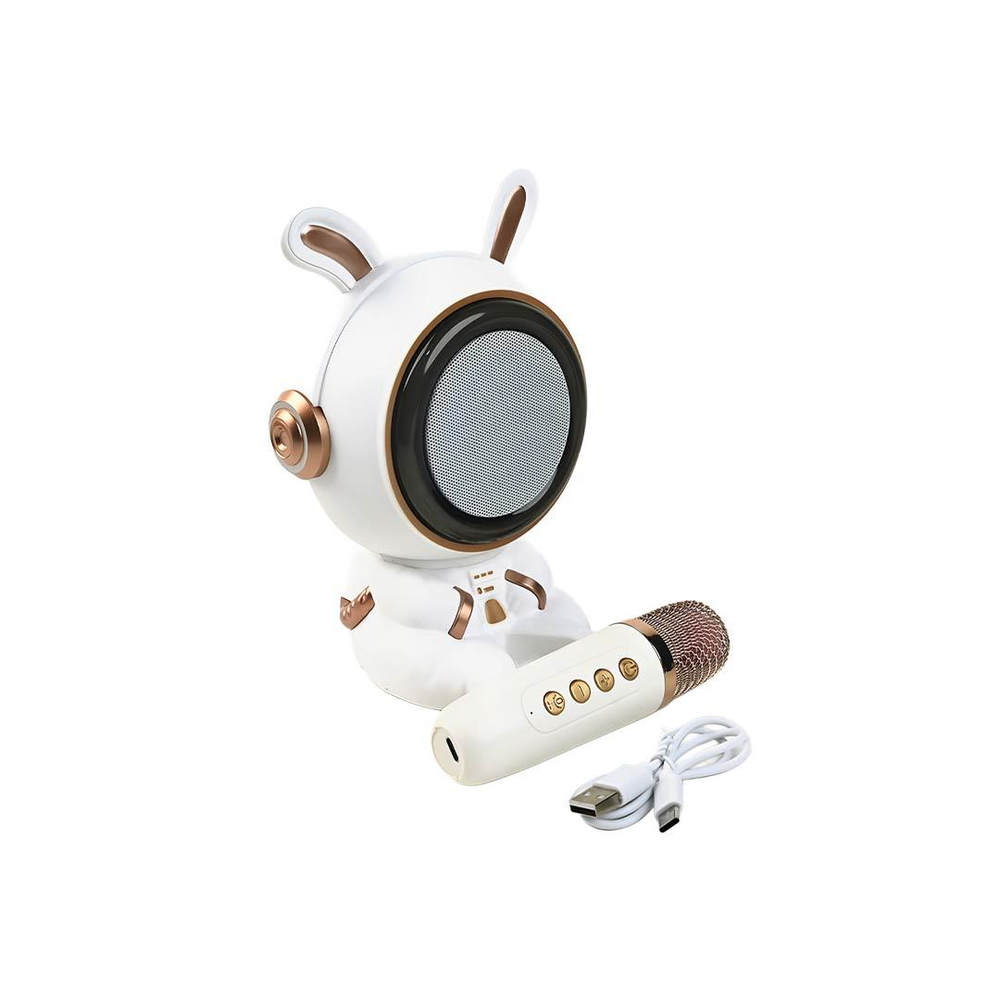  Karaoke Playset with Microphone | GMJ9831 - Computers & Tech - Lebanon