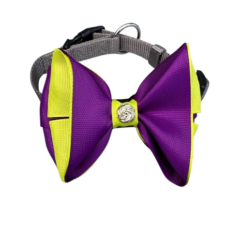 Pet Collar With Bow Purple, Yellow & Grey | PT-COL-PR - Sports & Outdoors - Lebanon