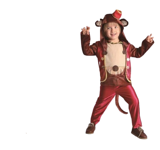 Monkey Boy Costume | 092667 - Toys & Games - Lebanon