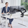 North Bayou Dual Monitor Desk Mount Stand | F160