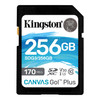 Kingston SD Card 256GB 170MB CANVAS Go Plus | SDG3/256GB