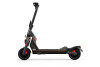 Segway Ninebot KickScooter GT2P | AA.00.0012.65