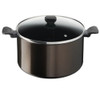 Tefal Easy Cook Clean Stewpot 24cm + Glass lid | B5544602
