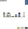 Gigabyte B460M DS3H (LGA1200/Intel/B460/Micro ATX/M.2/SATA 6Gb/s/USB 3.2 Gen 1/DDR4/Motherboard)