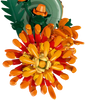 LEGO Botanicals Chrysanthemum Building Set | 10368