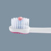 Chicco Toothbrush 3–6 Years | 12083.11 C