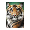 Trefl Puzzle: Portrait of a Tiger - 1500 Pieces | 26204