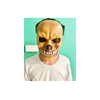 Halloween Scary Monster Mask | AL4103