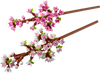 LEGO Cherry Blossoms - Sakura Trees Spring Display Model - 1,364 Pieces | 40725