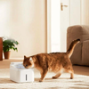 Xiaomi Smart Pet Fountain 2 EU - Wi-Fi Smart Water Dispenser - 3L Capacity - White | MJCWYSJ03