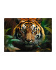 Trefl Wild Tiger Puzzle - 1000 Pieces | 10798