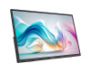 MSI PRO 15.6″ Portable Monitor | MP165 E6