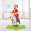 Fisher-Price Bounce & Spin Zebra Go Baby Activity Toy | MTAFP0317