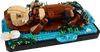 LEGO Floating Sea Otters 21366 ocean animal building set