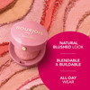 Bourjois Blush Ronde 17 Rose Tendresse 294931 powder blush