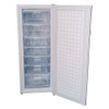 Carillo 175L Vertical Defrost Freezer Silver | CRDF18001S