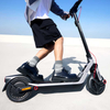 Segway eKickScooter E3 Pro | SEGAA0519020003