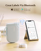 NIIMBOT D11-H Blue Bluetooth 300 DPI Portable Thermal Label Printer