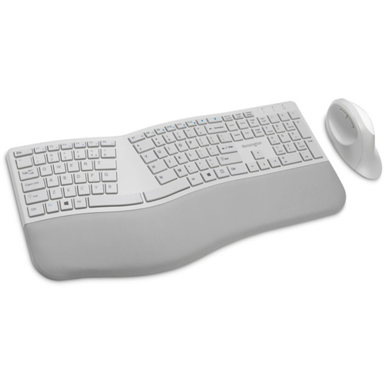 Kensington Poggiapolsi per Mouse/Trackpad sottili ErgoSoft - - Esseshop -  Il tuo Partner in Informatica, PC e Networking